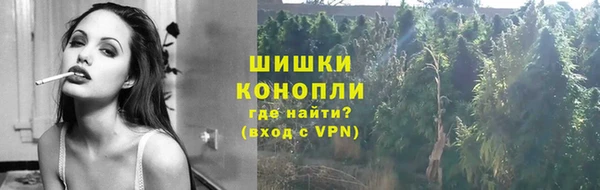 молекула духа Бородино