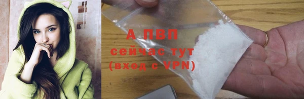 молекула духа Бородино