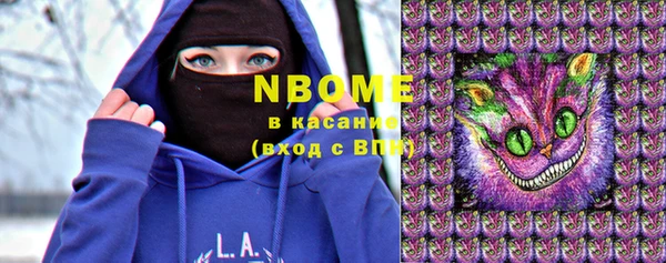 молекула духа Бородино