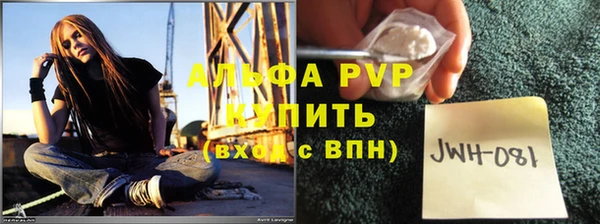 молекула духа Бородино