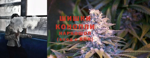 молекула духа Бородино