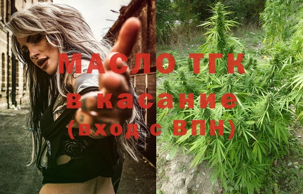 молекула духа Бородино