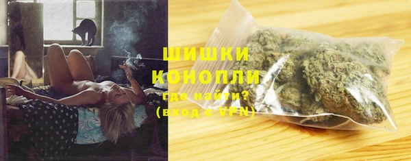 молекула духа Бородино
